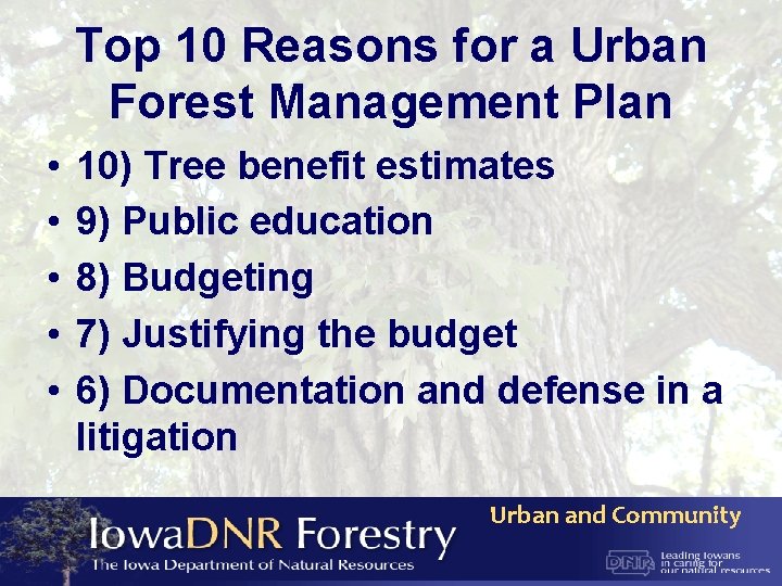 Top 10 Reasons for a Urban Forest Management Plan • • • 10) Tree