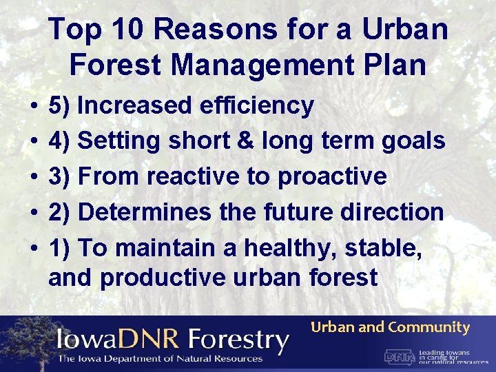 Top 10 Reasons for a Urban Forest Management Plan • • • 5) Increased