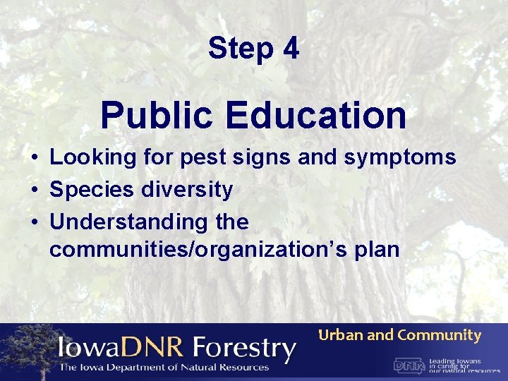 Step 4 Public Education • Looking for pest signs and symptoms • Species diversity