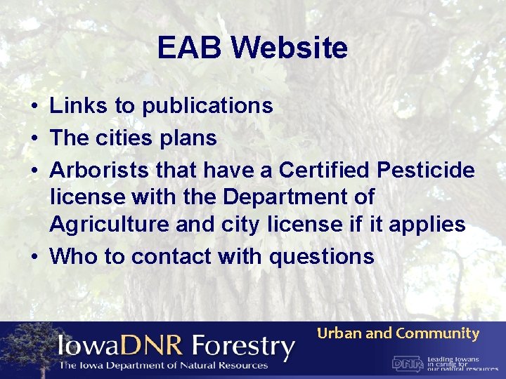 EAB Website • Links to publications • The cities plans • Arborists that have