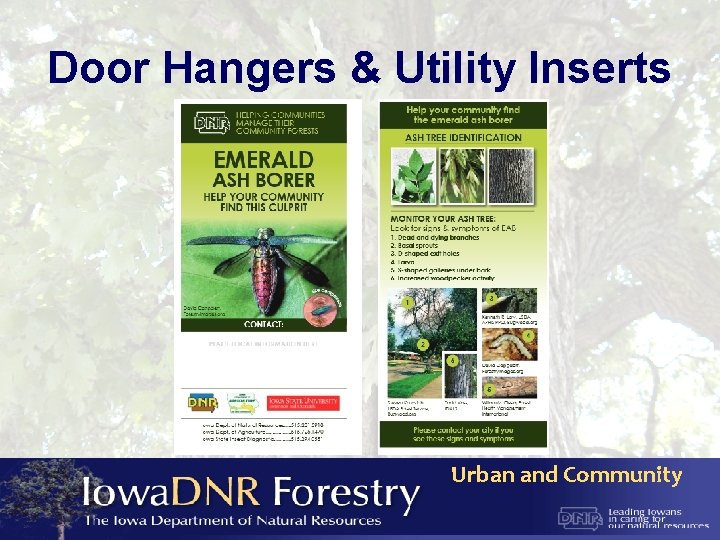 Door Hangers & Utility Inserts Urban and Community 