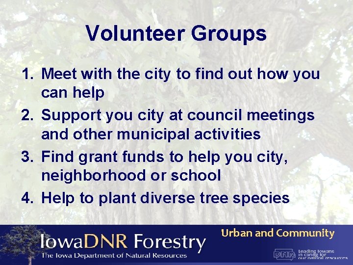 Volunteer Groups 1. Meet with the city to find out how you can help