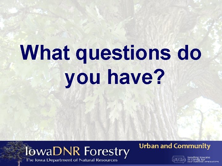 What questions do you have? Urban and Community 