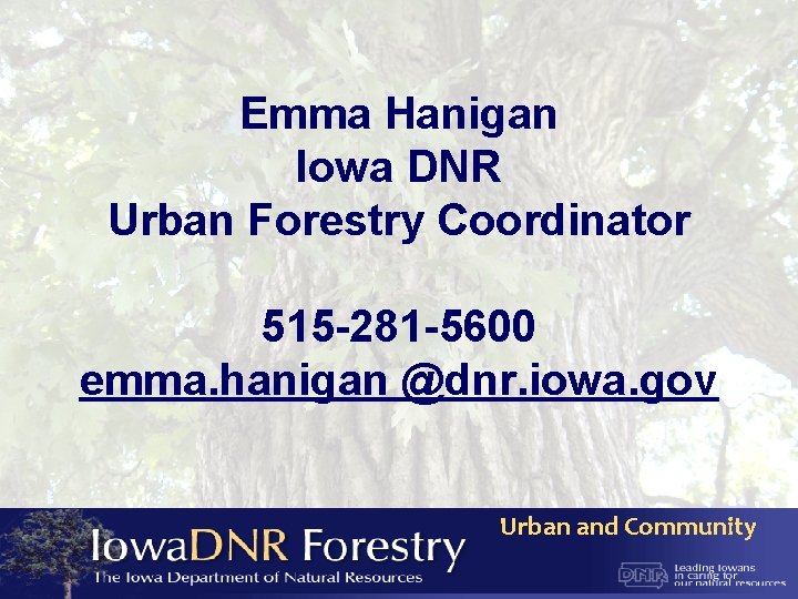 Emma Hanigan Iowa DNR Urban Forestry Coordinator 515 -281 -5600 emma. hanigan @dnr. iowa.