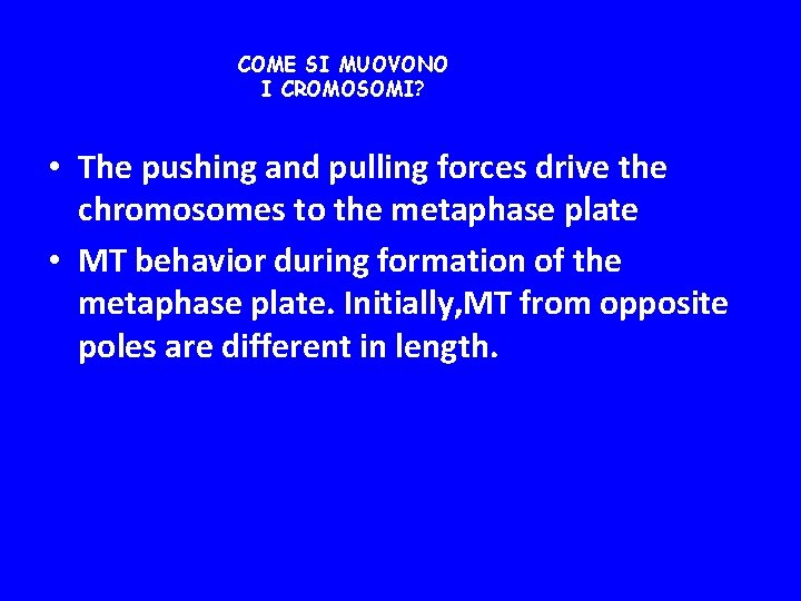 COME SI MUOVONO I CROMOSOMI? • The pushing and pulling forces drive the chromosomes