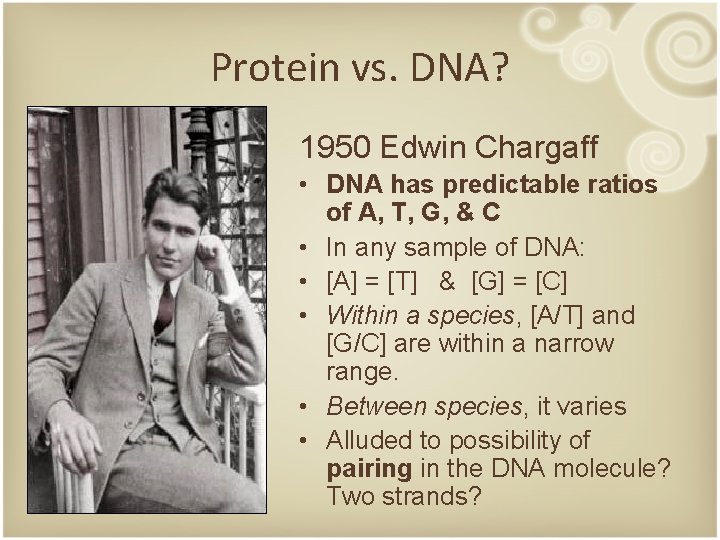 Protein vs. DNA? 1950 Edwin Chargaff • DNA has predictable ratios of A, T,
