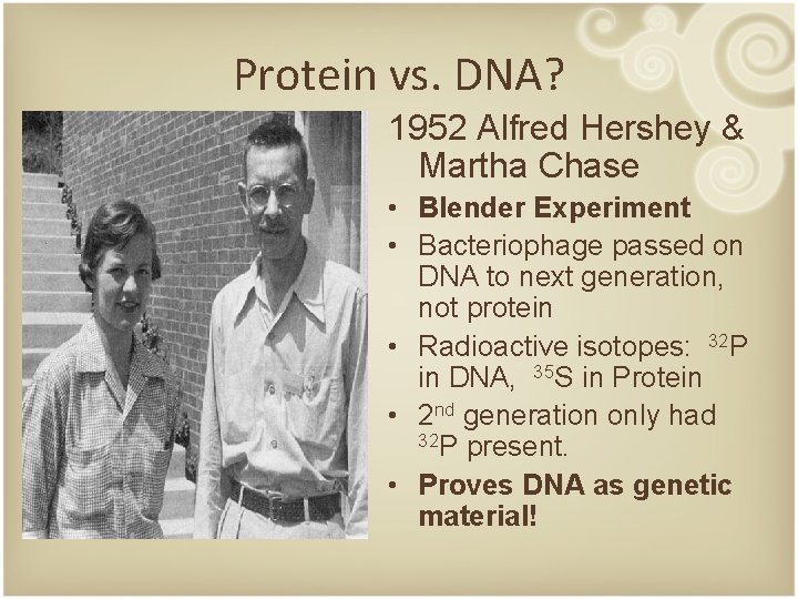 Protein vs. DNA? 1952 Alfred Hershey & Martha Chase • Blender Experiment • Bacteriophage