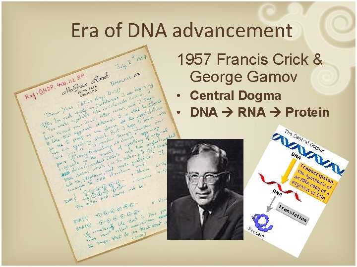 Era of DNA advancement 1957 Francis Crick & George Gamov • Central Dogma •
