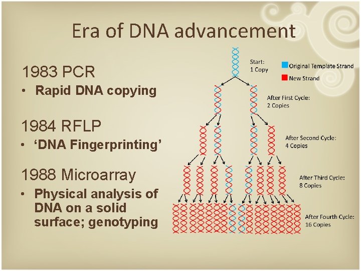 Era of DNA advancement 1983 PCR • Rapid DNA copying 1984 RFLP • ‘DNA