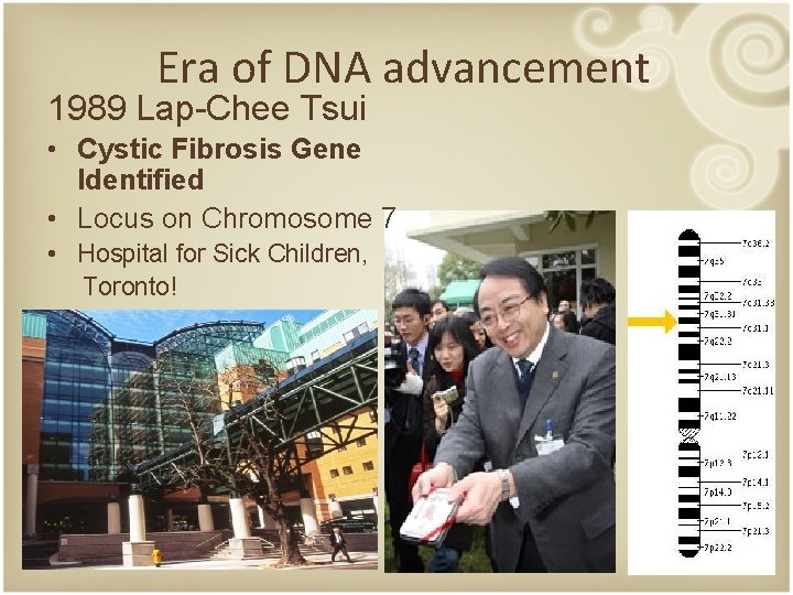 Era of DNA advancement 1989 Lap-Chee Tsui • Cystic Fibrosis Gene Identified • Locus