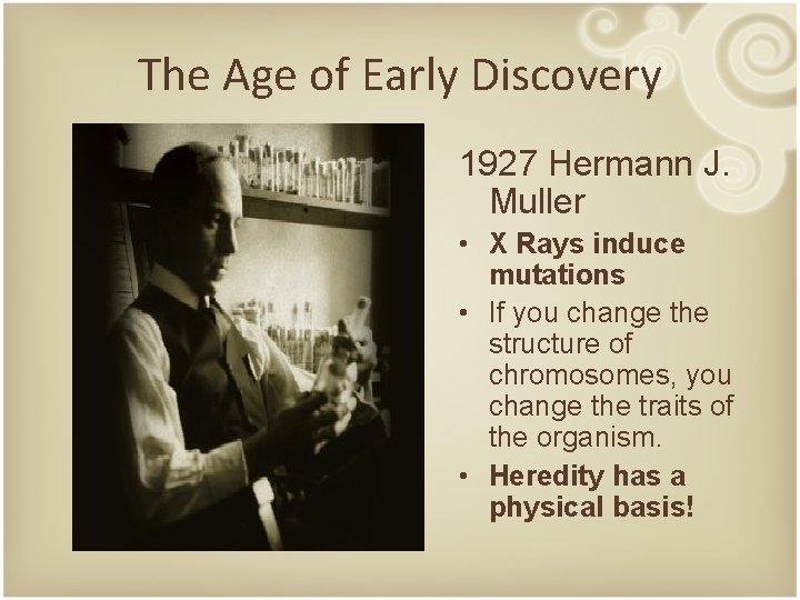 The Age of Early Discovery 1927 Hermann J. Muller • X Rays induce mutations
