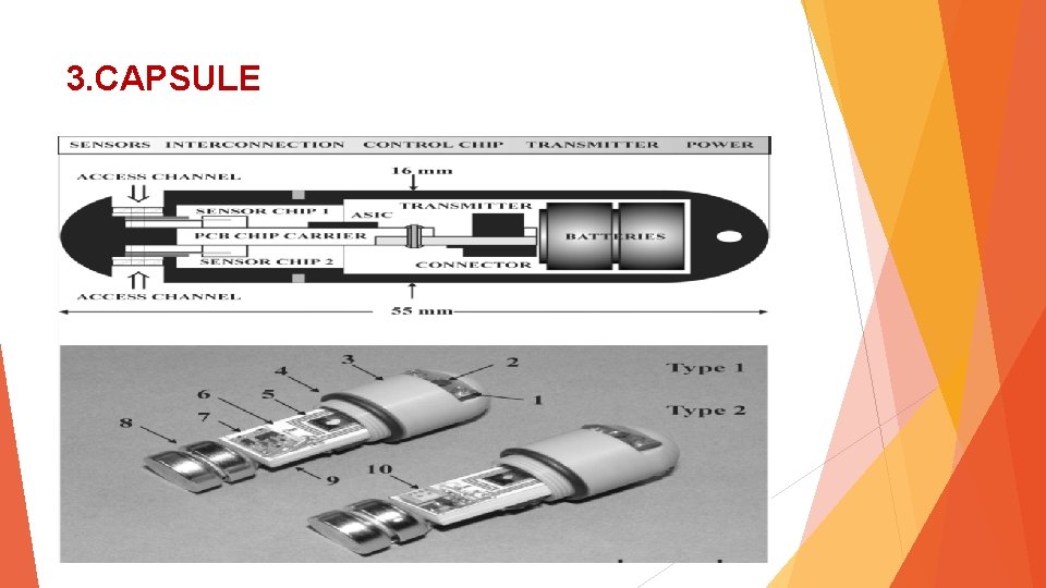 3. CAPSULE 