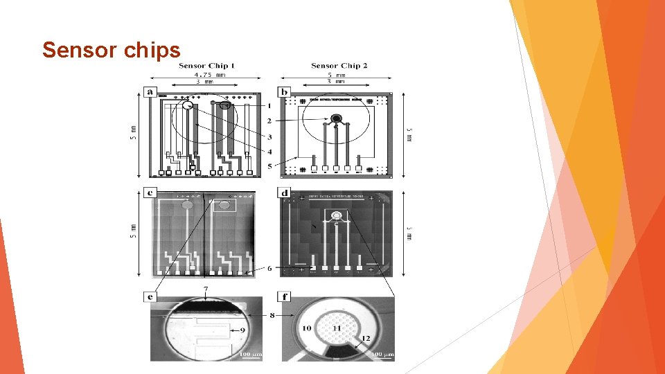 Sensor chips 