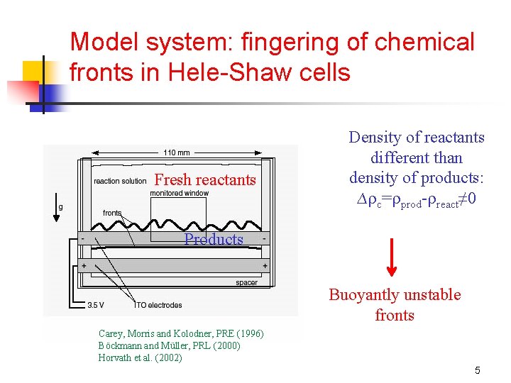 Model system: fingering of chemical fronts in Hele-Shaw cells Fresh reactants Density of reactants