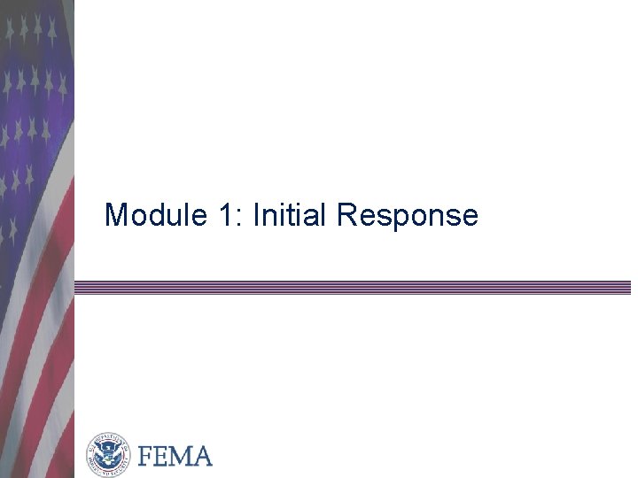 Module 1: Initial Response 