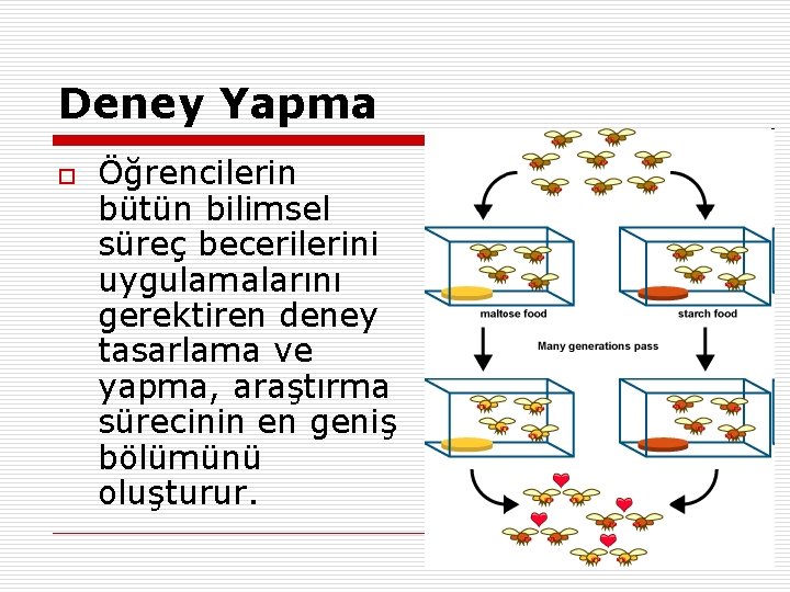 Deney Yapma o Öğrencilerin bütün bilimsel süreç becerilerini uygulamalarını gerektiren deney tasarlama ve yapma,