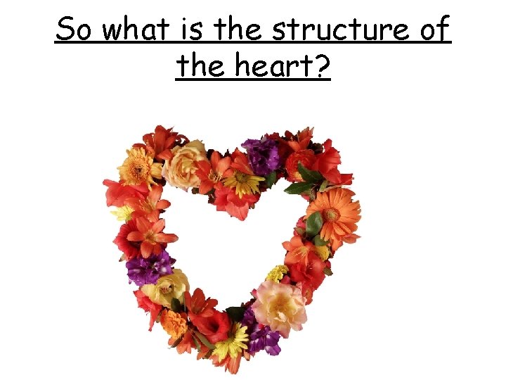 So what is the structure of the heart? 