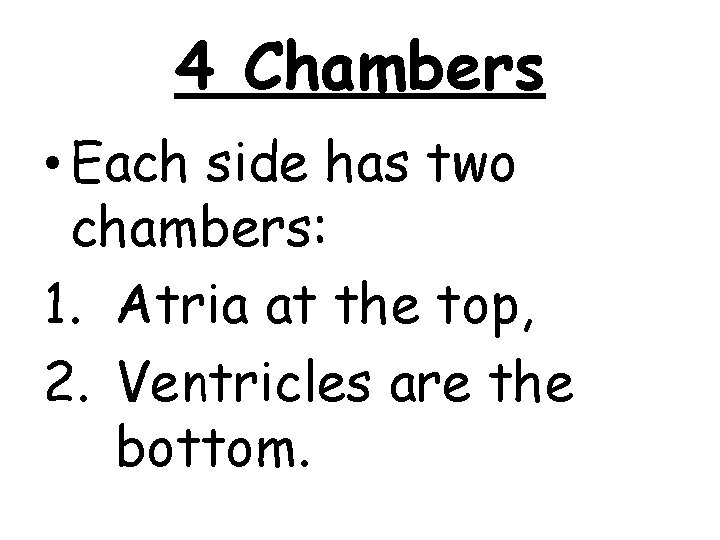 4 Chambers • Each side has two chambers: 1. Atria at the top, 2.