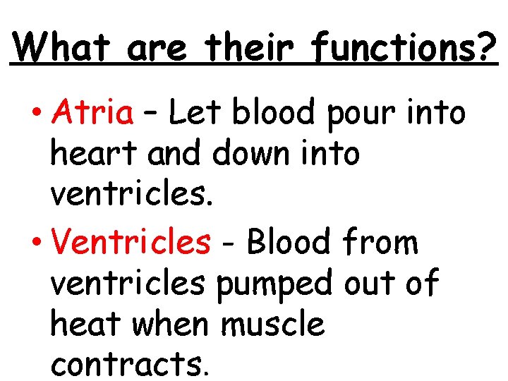 What are their functions? • Atria – Let blood pour into heart and down