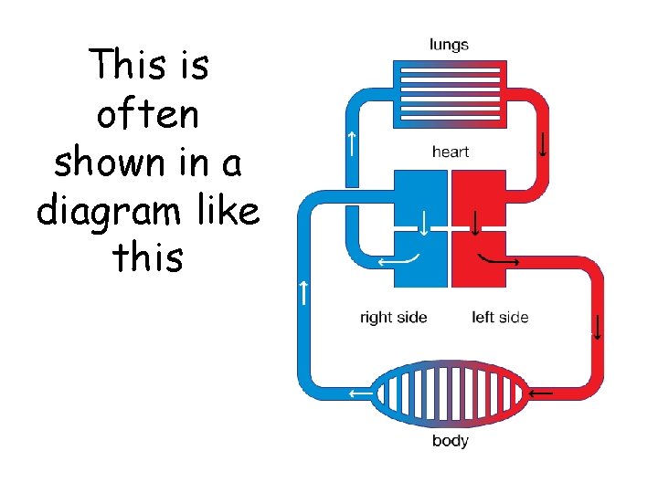 This is often shown in a diagram like this 