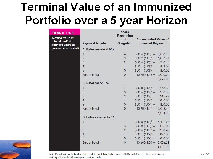 Terminal Value of an Immunized Portfolio over a 5 year Horizon 11 -19 