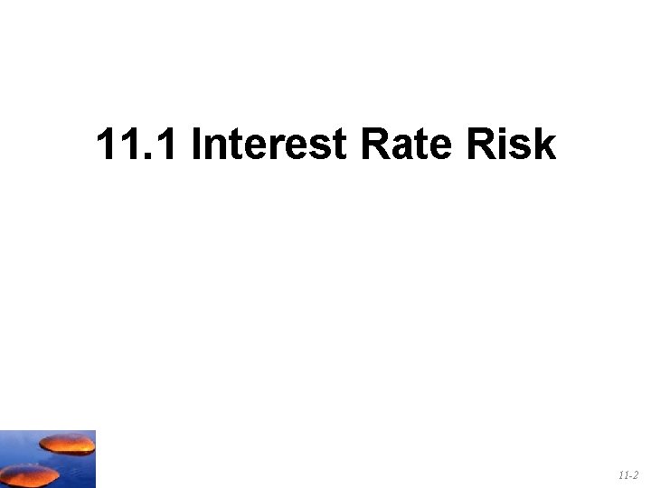11. 1 Interest Rate Risk 11 -2 
