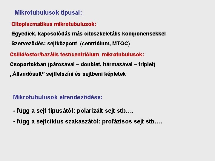 Mikrotubulusok típusai: Citoplazmatikus mikrotubulusok: Egyediek, kapcsolódás más citoszkeletális komponensekkel Szerveződés: sejtközpont (centriólum, MTOC) Csilló/ostor/bazális