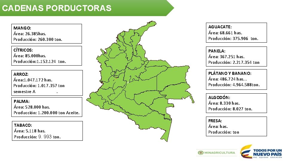 CADENAS PORDUCTORAS MANGO: Área: 26. 385 has. Producción: 260. 300 ton. AGUACATE: Área: 68.