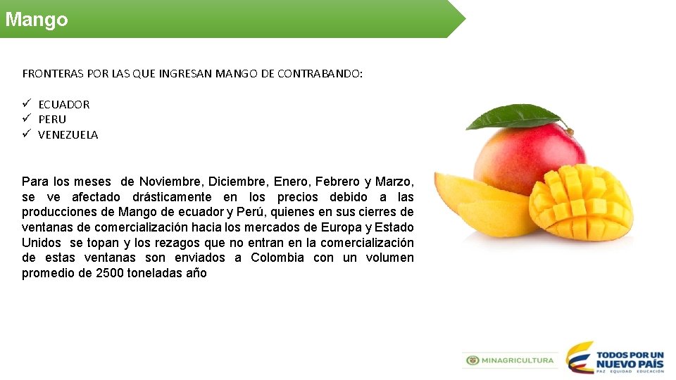 Mango FRONTERAS POR LAS QUE INGRESAN MANGO DE CONTRABANDO: ü ECUADOR ü PERU ü