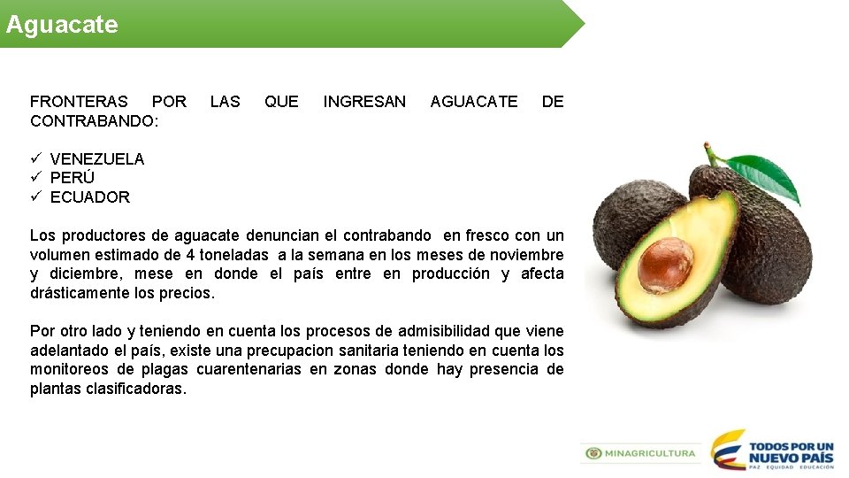 Aguacate FRONTERAS POR CONTRABANDO: LAS QUE INGRESAN AGUACATE DE ü VENEZUELA ü PERÚ ü