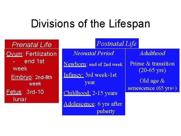 Divisions of the Lifespan Prenatal Life Ovum: Fertilization end 1 st week Embryo: 2
