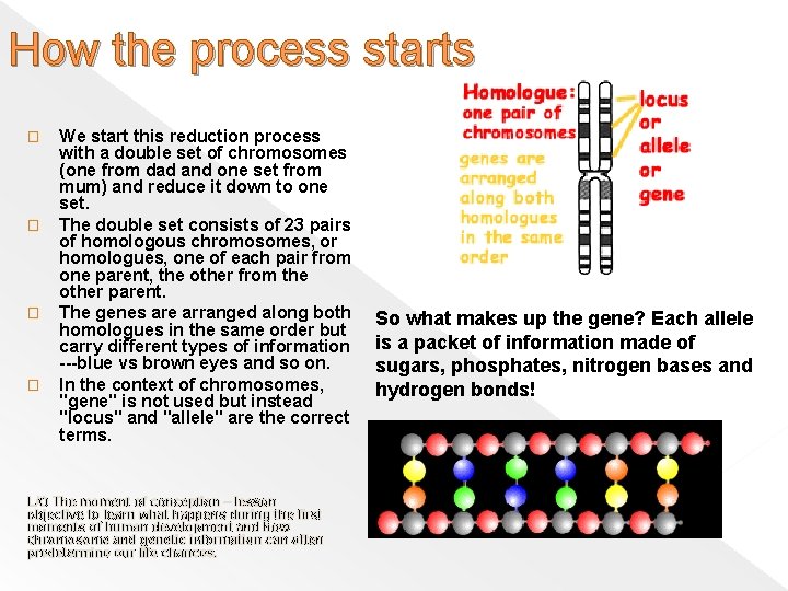 How the process starts � � We start this reduction process with a double