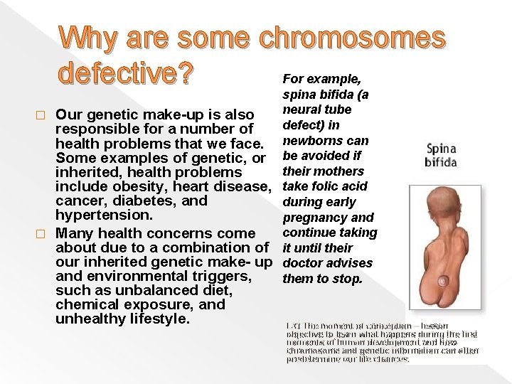 Why are some chromosomes defective? For example, spina bifida (a Our genetic make-up is