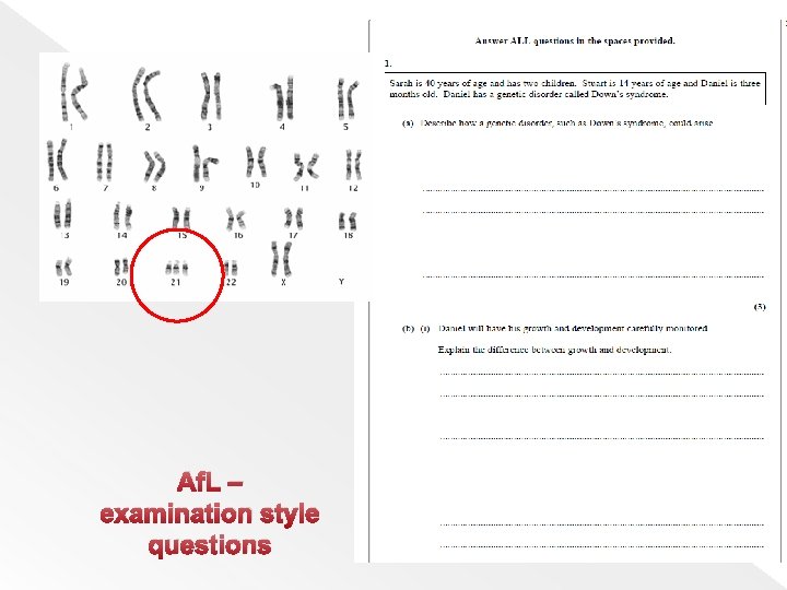 Af. L – examination style questions 