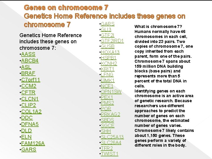 Genes on chromosome 7 Genetics Home Reference includes these genes on • GARS chromosome