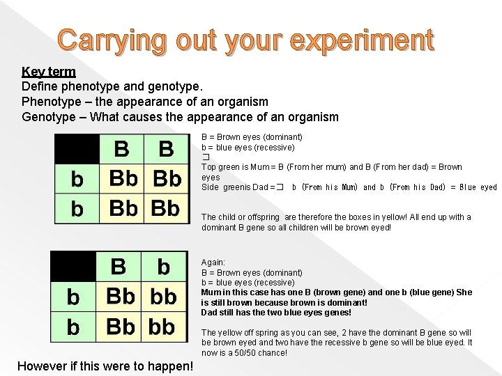 Carrying out your experiment Key term Define phenotype and genotype. Phenotype – the appearance