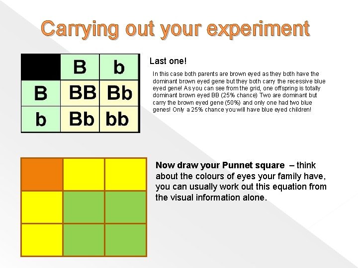 Carrying out your experiment Last one! In this case both parents are brown eyed