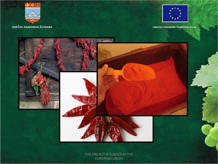 OSJEČKO-BARANJSKA ŽUPANIJA PROJEKT FINANCIRA EUROPSKA UNIJA THIS PROJECT IS FUNDED BY THE EUROPEAN UNION