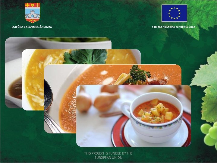 OSJEČKO-BARANJSKA ŽUPANIJA PROJEKT FINANCIRA EUROPSKA UNIJA THIS PROJECT IS FUNDED BY THE EUROPEAN UNION