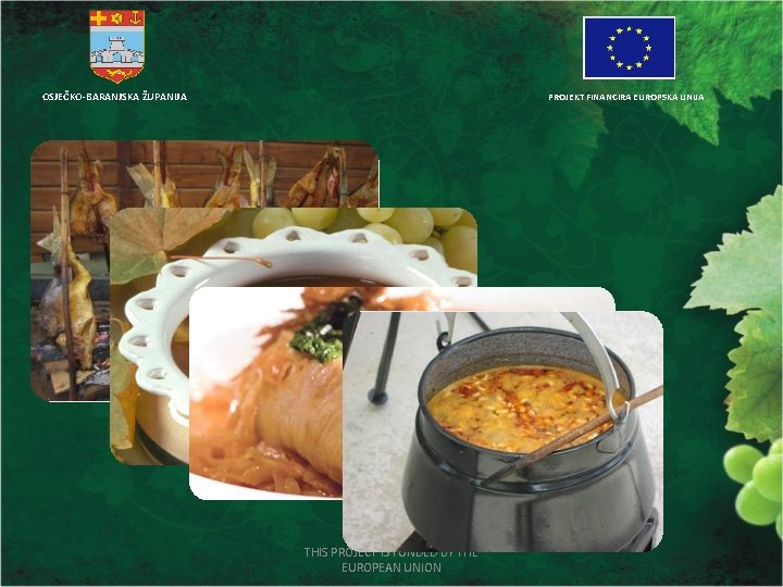 OSJEČKO-BARANJSKA ŽUPANIJA PROJEKT FINANCIRA EUROPSKA UNIJA THIS PROJECT IS FUNDED BY THE EUROPEAN UNION