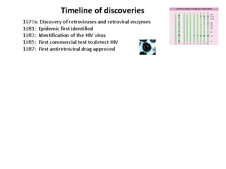 Timeline of discoveries 1970 s: Discovery of retroviruses and retroviral enzymes 1981: Epidemic first