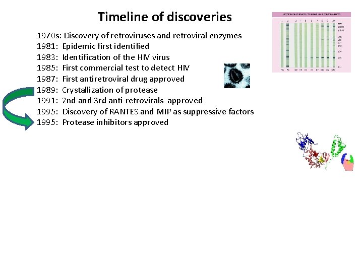 Timeline of discoveries 1970 s: Discovery of retroviruses and retroviral enzymes 1981: Epidemic first