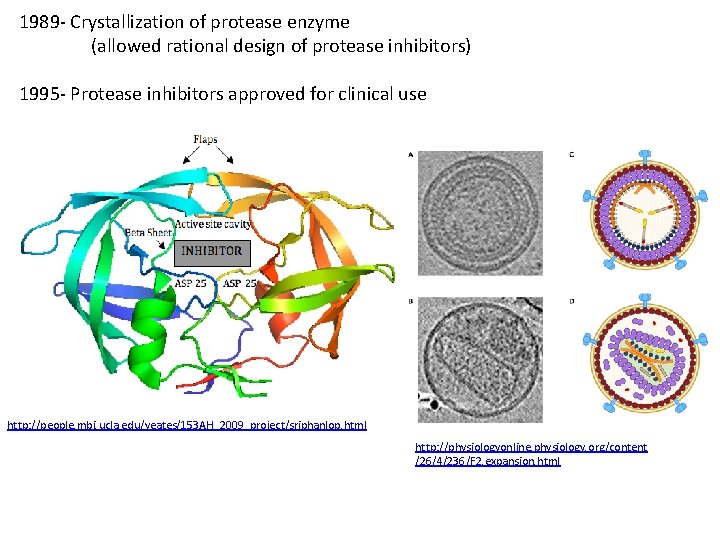 1989 - Crystallization of protease enzyme (allowed rational design of protease inhibitors) 1995 -