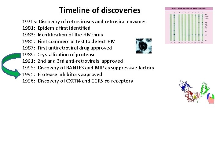 Timeline of discoveries 1970 s: Discovery of retroviruses and retroviral enzymes 1981: Epidemic first