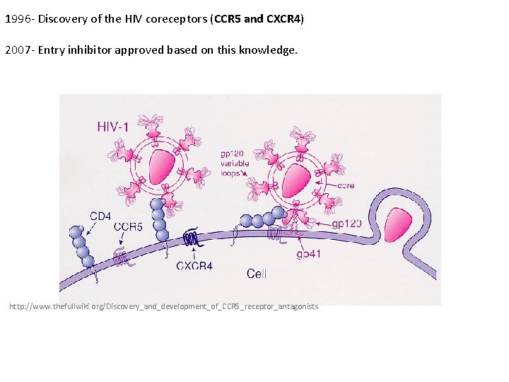 1996 - Discovery of the HIV coreceptors (CCR 5 and CXCR 4) 2007 -