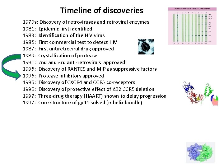 Timeline of discoveries 1970 s: Discovery of retroviruses and retroviral enzymes 1981: Epidemic first