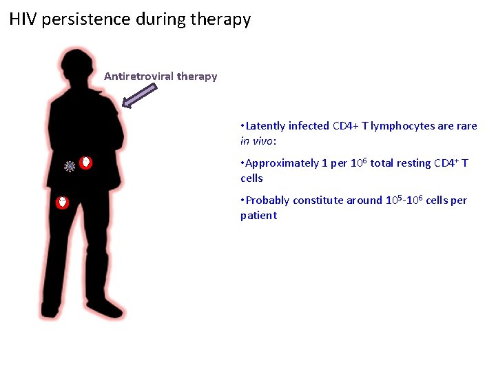 HIV persistence during therapy Antiretroviral therapy • Latently infected CD 4+ T lymphocytes are