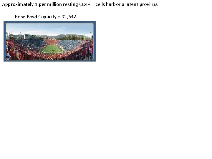 Approximately 1 per million resting CD 4+ T cells harbor a latent provirus. Rose