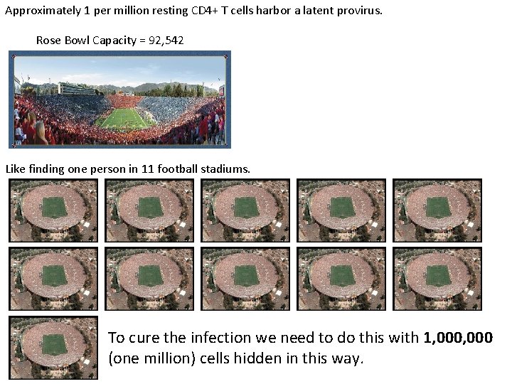 Approximately 1 per million resting CD 4+ T cells harbor a latent provirus. Rose