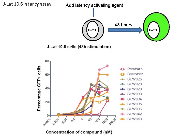 J-Lat 10. 6 latency assay: Add latency activating agent 48 hours 